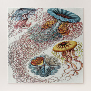 Puzzle Illustration de la vie marine - Ernst Haeckel