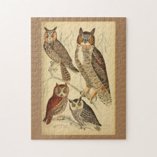 Puzzle Illustration de quatre hiboux