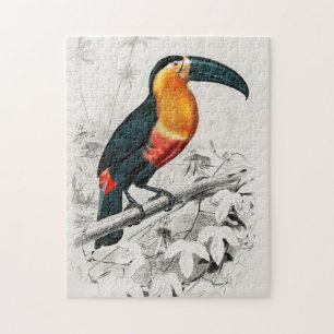 Puzzle Illustration de toucan Ramphastos Impression d'art