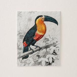 Puzzle Illustration de toucan Ramphastos Impression d'art