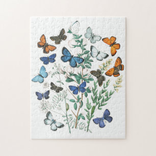 Puzzle Illustration des papillons vintages