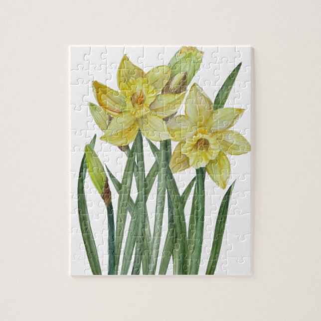 Puzzle Illustration du portrait des jonquilles d'aquarell (Vertical)