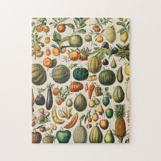 Puzzle Illustration scientifique végétale des fruits (Vertical)