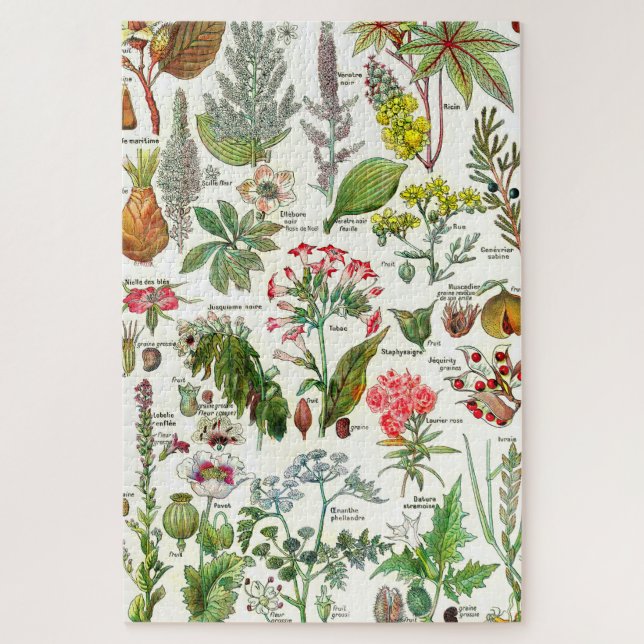 Puzzle Illustrations botaniques (Vertical)