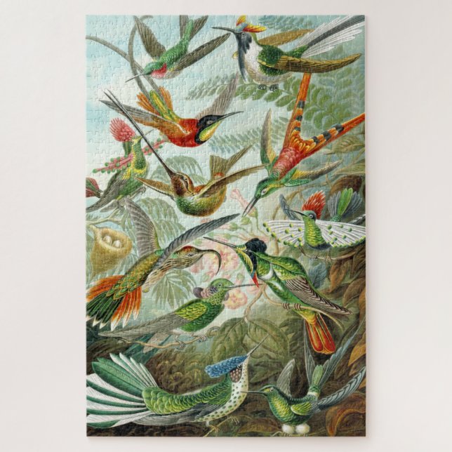 Puzzle Illustrations de Hummingbirds 1899, Ernst Haeckel, (Vertical)