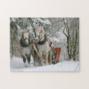 Puzzle Image couleur de la plage de neige d'hiver