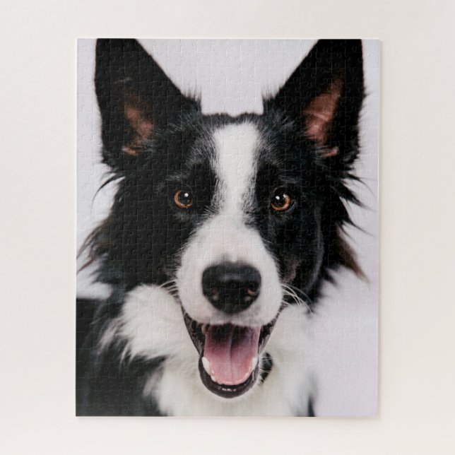 Puzzle Images de Getty | A border collie de sourire (Vertical)