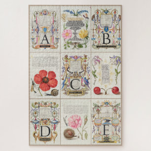 Puzzle Images de Mira Calligraphiae Monumenta 7