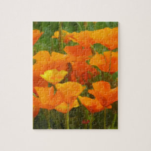 Puzzle impasto de la californie