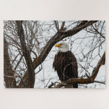 Puzzle Impossible - Haliaeetus