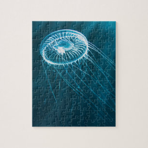 Puzzle impossible - Méduse blanche