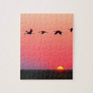 Puzzle Impossible - Migrer les oiseaux