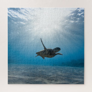 Puzzle Impossible - Tortue de mer