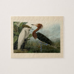 Puzzle Impression de Héron Pourpré d'Audubon : Art d'Oise