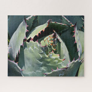Puzzle Impressions d'agave, photo détaillée,