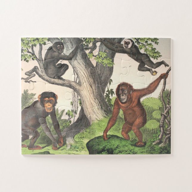 Puzzle Imprimer les anciens singes (Horizontal)