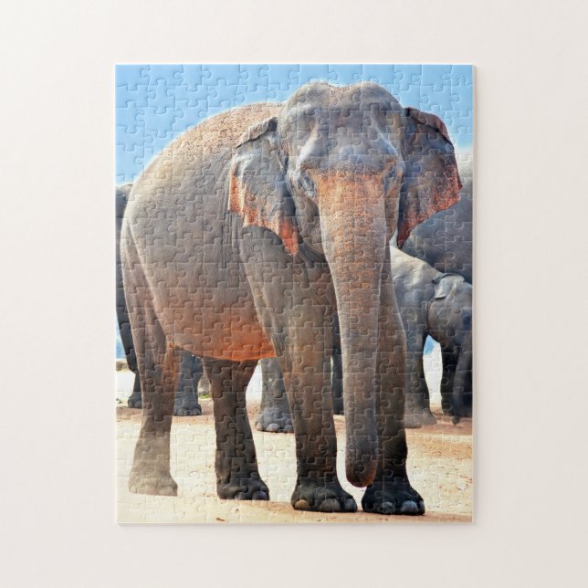 Puzzle Indian Elephant Sri Lanka. (Vertical)