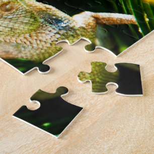 Puzzle insectes - casse-tête