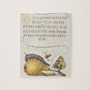 Puzzle Insectes de jardin, mouche, chenille, poire, mille