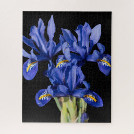 Puzzle Iris Jigsaw