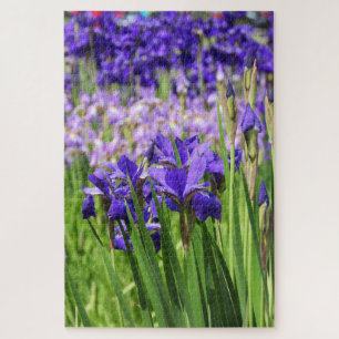Puzzle Iris violet en fleur, Elizabeth Park Gardens