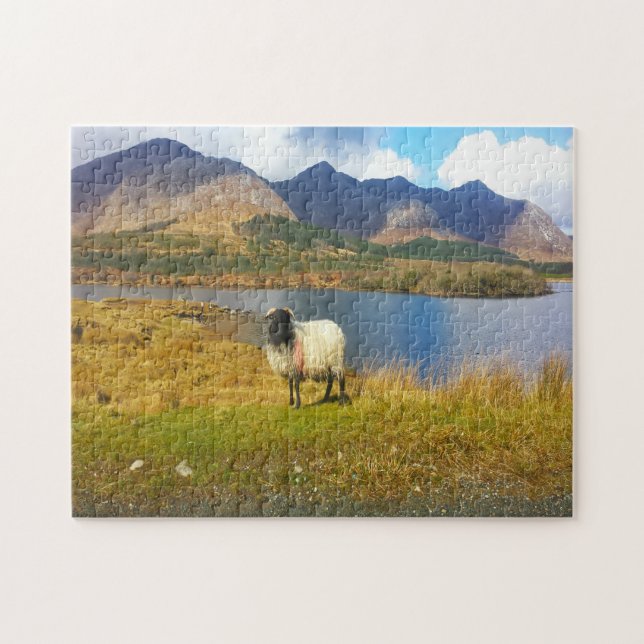 Puzzle Irish Wooly Sheep Galway Irlande. (Horizontal)