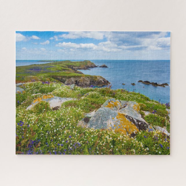 Puzzle Irlande, Saltee Islands, (Horizontal)
