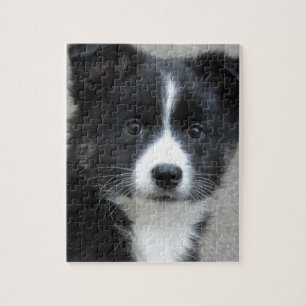 Puzzle Islandhund