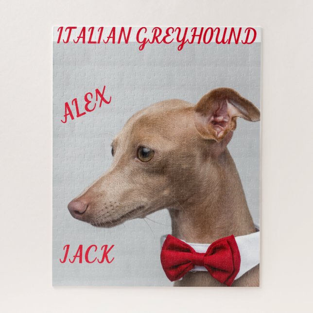 PUZZLE ITALIEN GREYHOUND & NOMS PERSONNALISÉS. (Vertical)