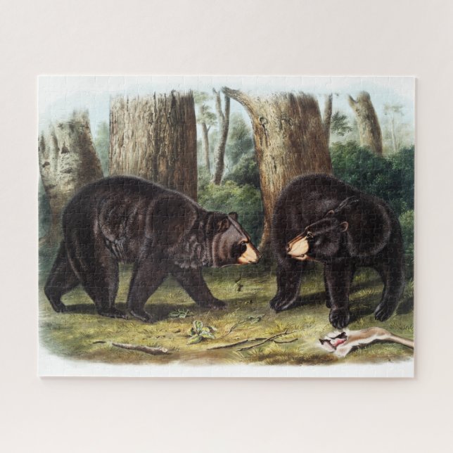 Puzzle J.W. Audubon - Ursus Americanus (Ours Noir) (Horizontal)
