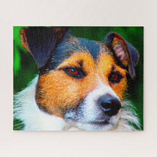 Puzzle Jack Russell Chien.