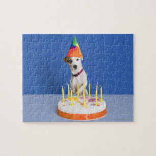 Puzzle Jack Russell Terrier chien portant casquette de fê