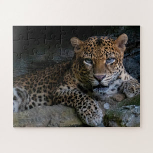 Puzzle Jaguar animal sauvage