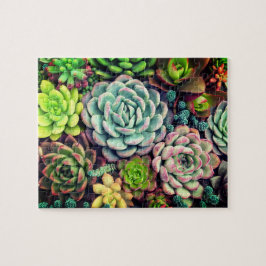 Puzzle Jardin à disposition coloré Succulent