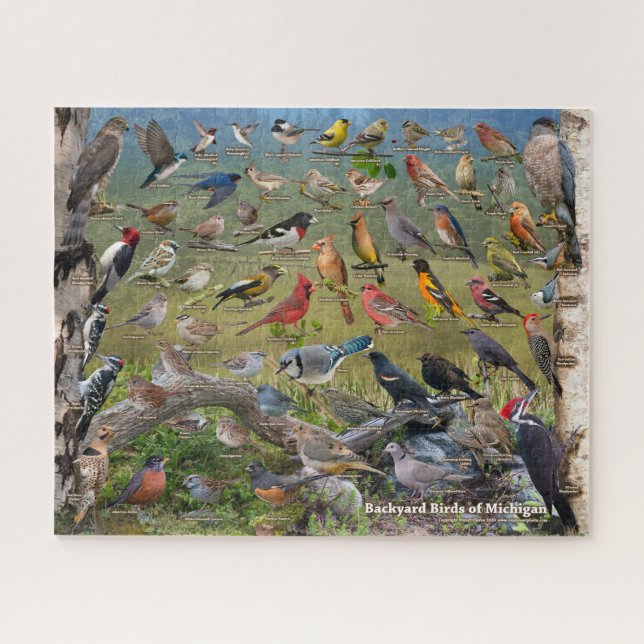 Puzzle Jardin Birds du Michigan (Horizontal)