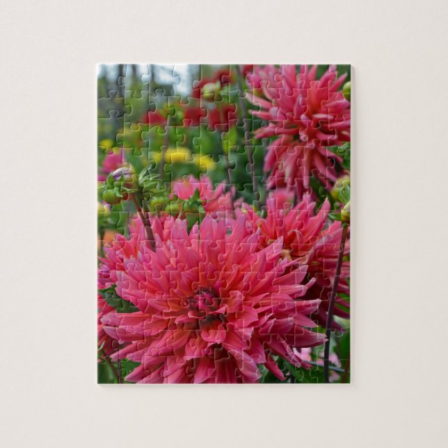 Puzzle Jardin d'agrément rose de dahlia (Vertical)