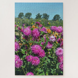 Puzzle Jardin dahlia violet