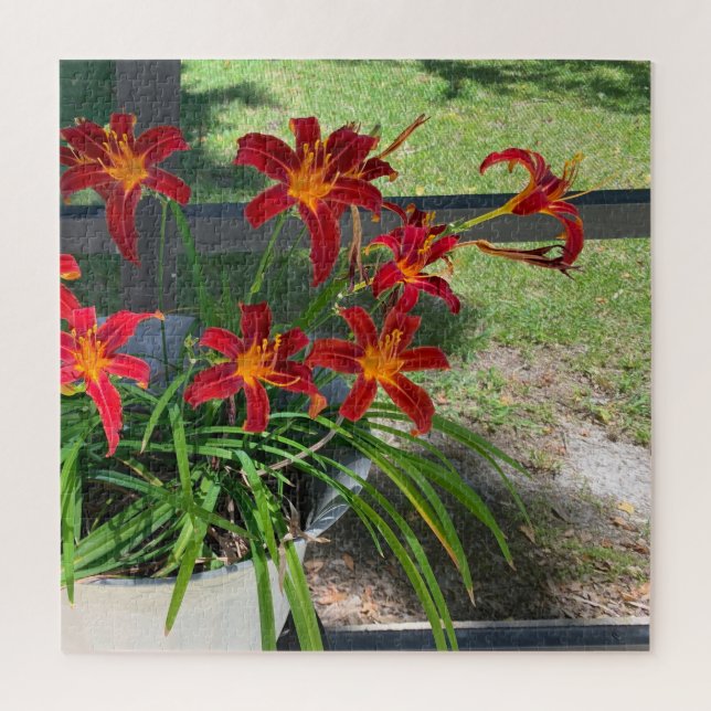 Puzzle Jardin Daylilies Fleurs Été Photo Nature (Vertical)