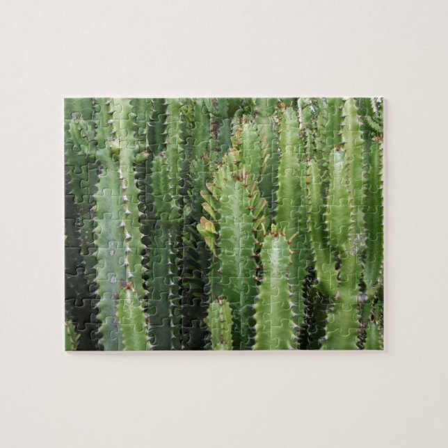 Puzzle Jardin de Cactus (Horizontal)