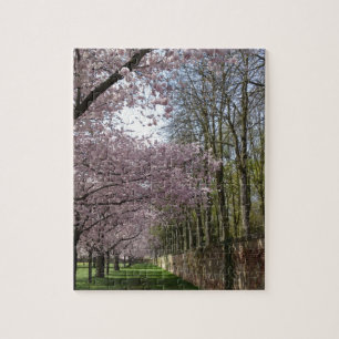 Puzzle Jardin de fleurs de cerisier