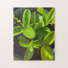 Puzzle Jardin de plantation d'arbres citronniers de print