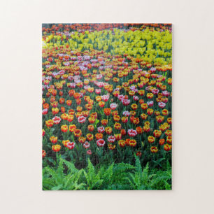 Puzzle Jardin de Tulip