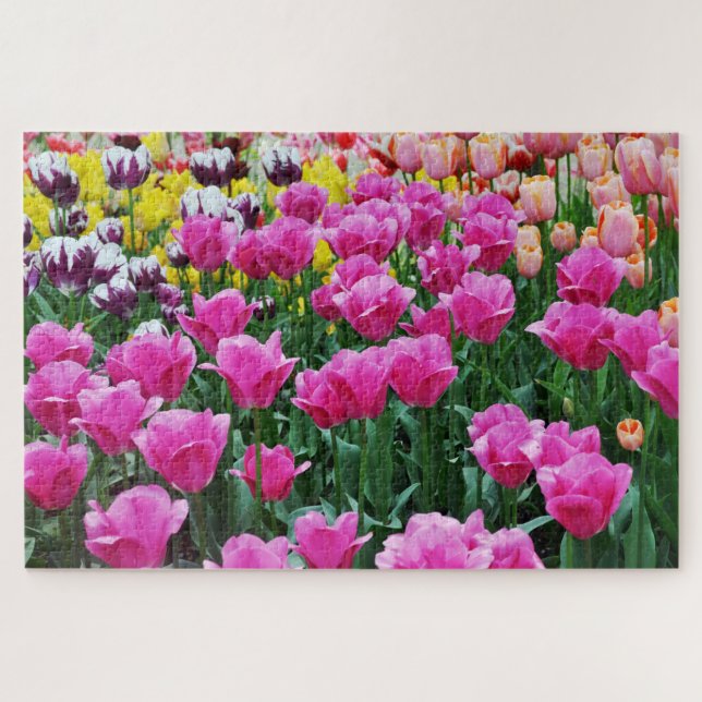 Puzzle Jardin de Tulip (Horizontal)