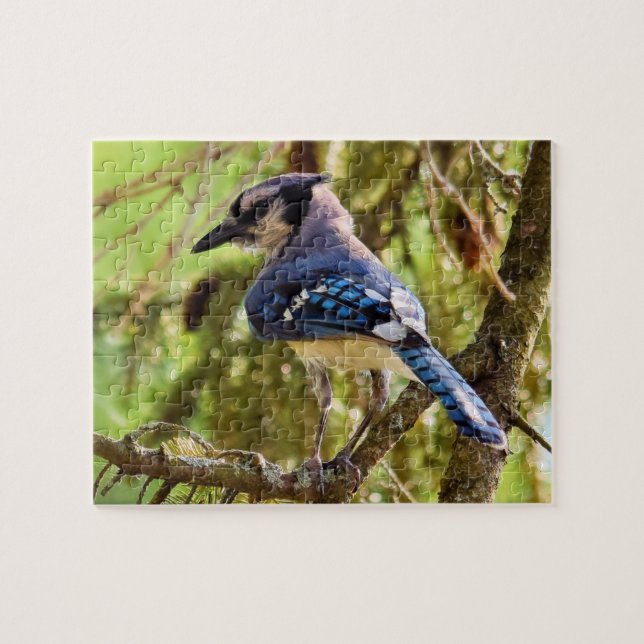 Puzzle Jardin dynamique Blue Jay - 8x10 - 110 pc. (Horizontal)