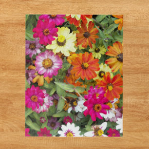 Puzzle Jardin floral de Zinnia