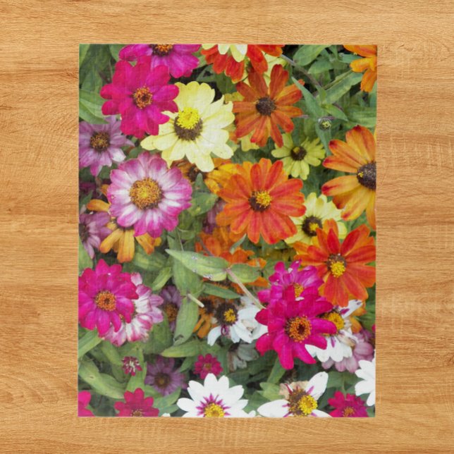 Puzzle Jardin floral de Zinnia (In Situ)