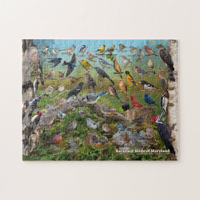 Puzzle Jardin Oiseaux de MAryland (Horizontal)
