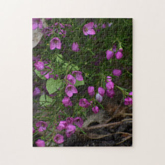 Puzzle Jardin pourpre – Une fleur en vedette