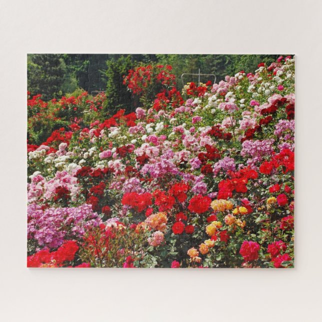 Puzzle Jardin rose coloré (Horizontal)