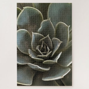 Puzzle Jardin Succulent Vert Gris Tons Art Réaliste